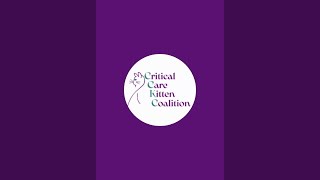 Critical Care Kitten Coalition is live!