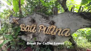 Bali Family Trip 2016, by Lina Waree 591 views 8 years ago 8 minutes, 13 seconds