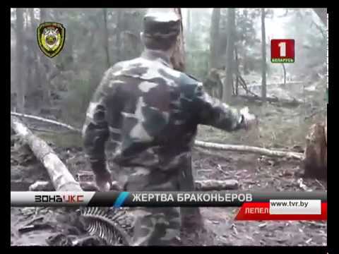 Зона X 21.03.2017