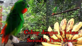 Simple way to care for a serindit bird so that it can quickly become Gacor with just these 3 ingr...