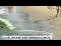 What to know about the 2026 Lake Michigan Summer Beach Guide