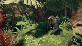 Ancestors: The Humankind Odyssey: Finding a Precious Stone Objective (QUICKLY!) screenshot 3