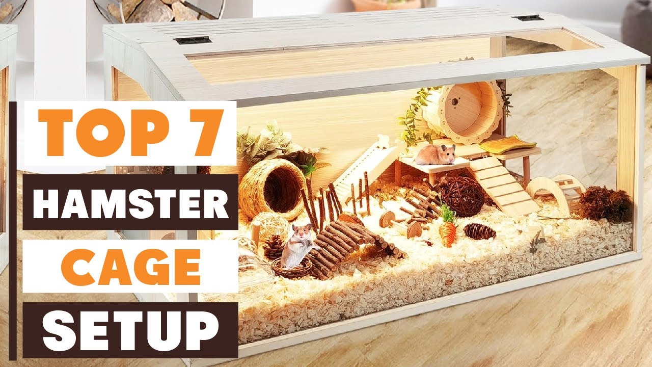 7 Best Hamster Cage Setups – Perfect Homes for Your Furry Friend! - YouTube