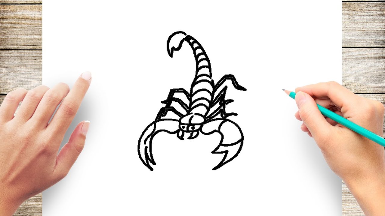 Premium Vector  Scorpion sketch vector illustration black outline  transparent background