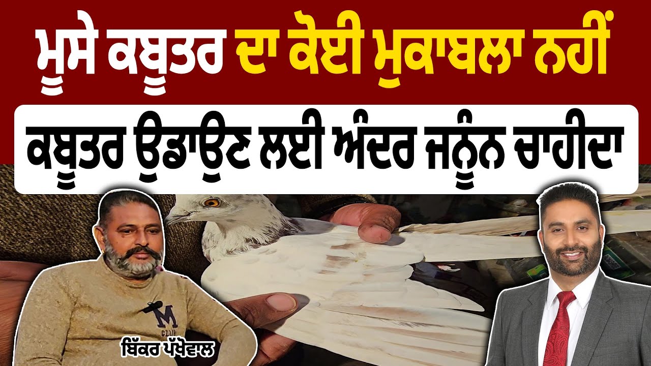 Season 3 | ਮੂਸਾ ਕਬੂਤਰ ,ਸਿੱਧੂ ਦੀ ਯਾਦ 'ਚ ਰੱਖਿਆ ਨਾਮ |Sundip Brar Interview with Bikhar Pakhowal