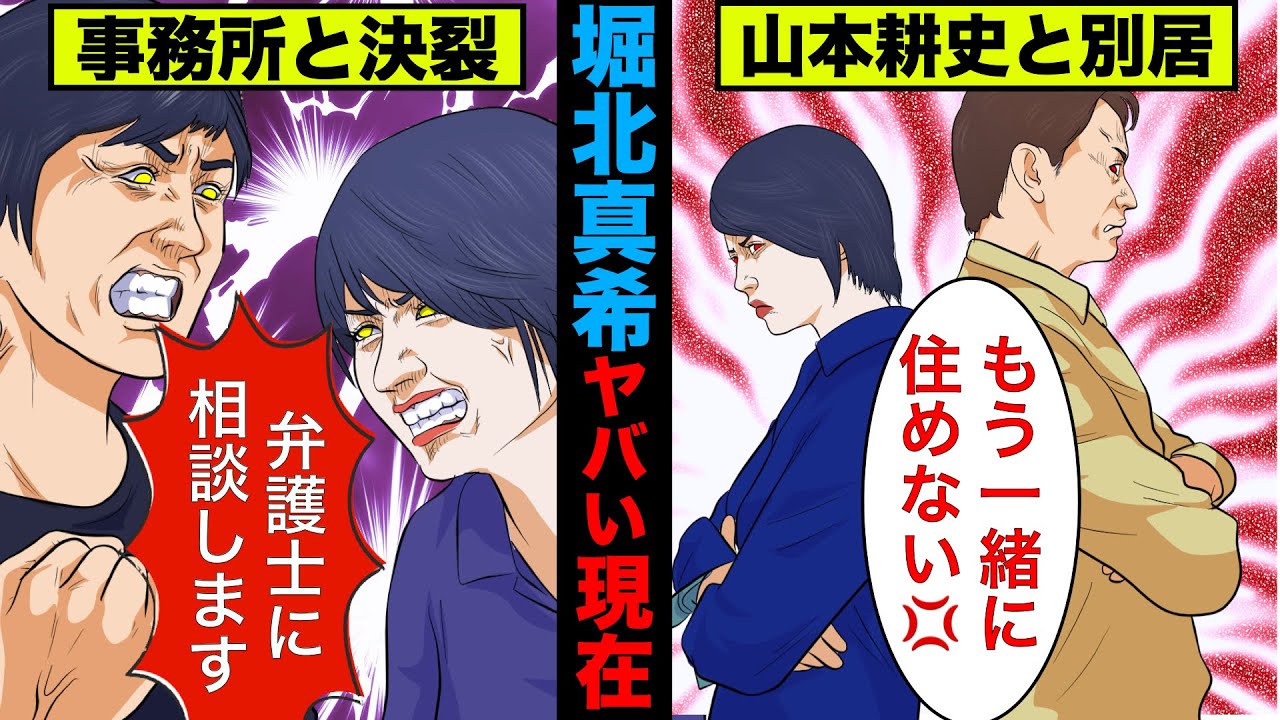 実話 堀北真希の現在がヤバ過ぎた 山本耕史がパチンコ通いで別居をするも アニメ ゆっくり解説 Magmoe