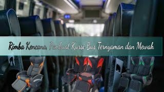 Busmania-18 Kursi Bus Mewah Dan Nyaman Hai Rimba Kencana