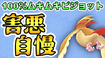 ピジョット