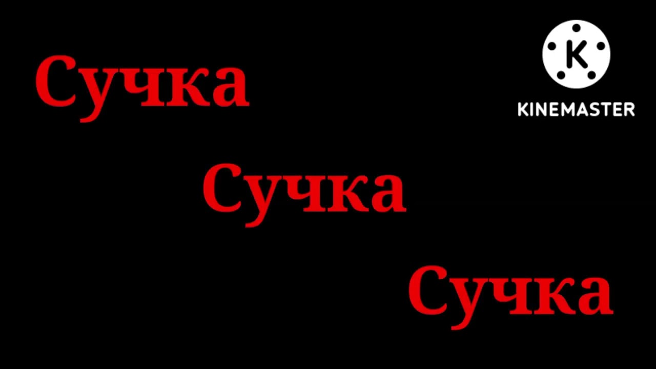 Сучка покорит всех Сучка покорит всех