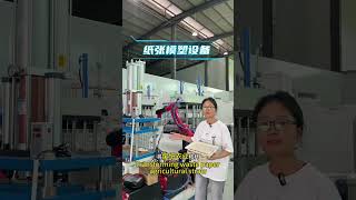 Full Automatic Pulp Molding Production Line | Make Biodegradable Packaging from Waste Paper &