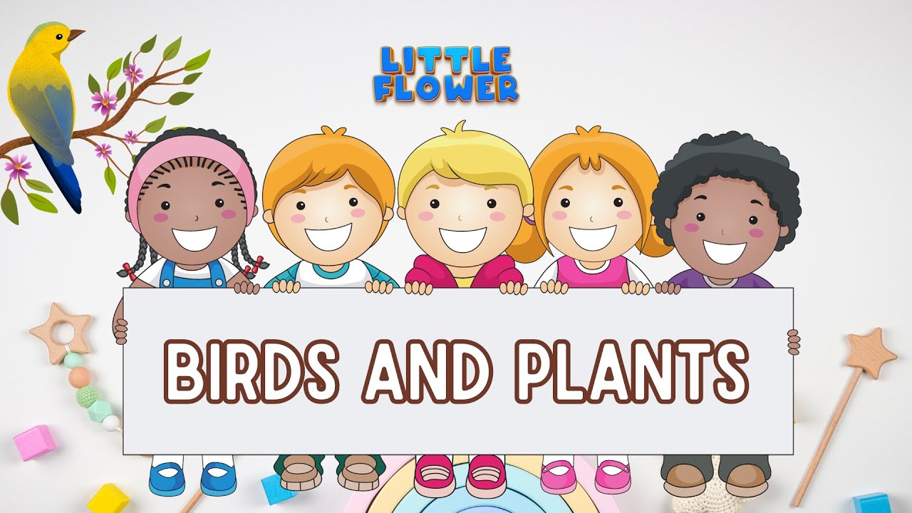 "Nature Explorers: Plants and Birds Adventure for kids | Little flower