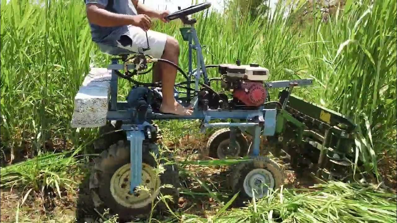 Multicrop reaper//Multi hight adjustable type// Mulberry cutting