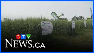 Ag In Motion highlights trends in agriculture