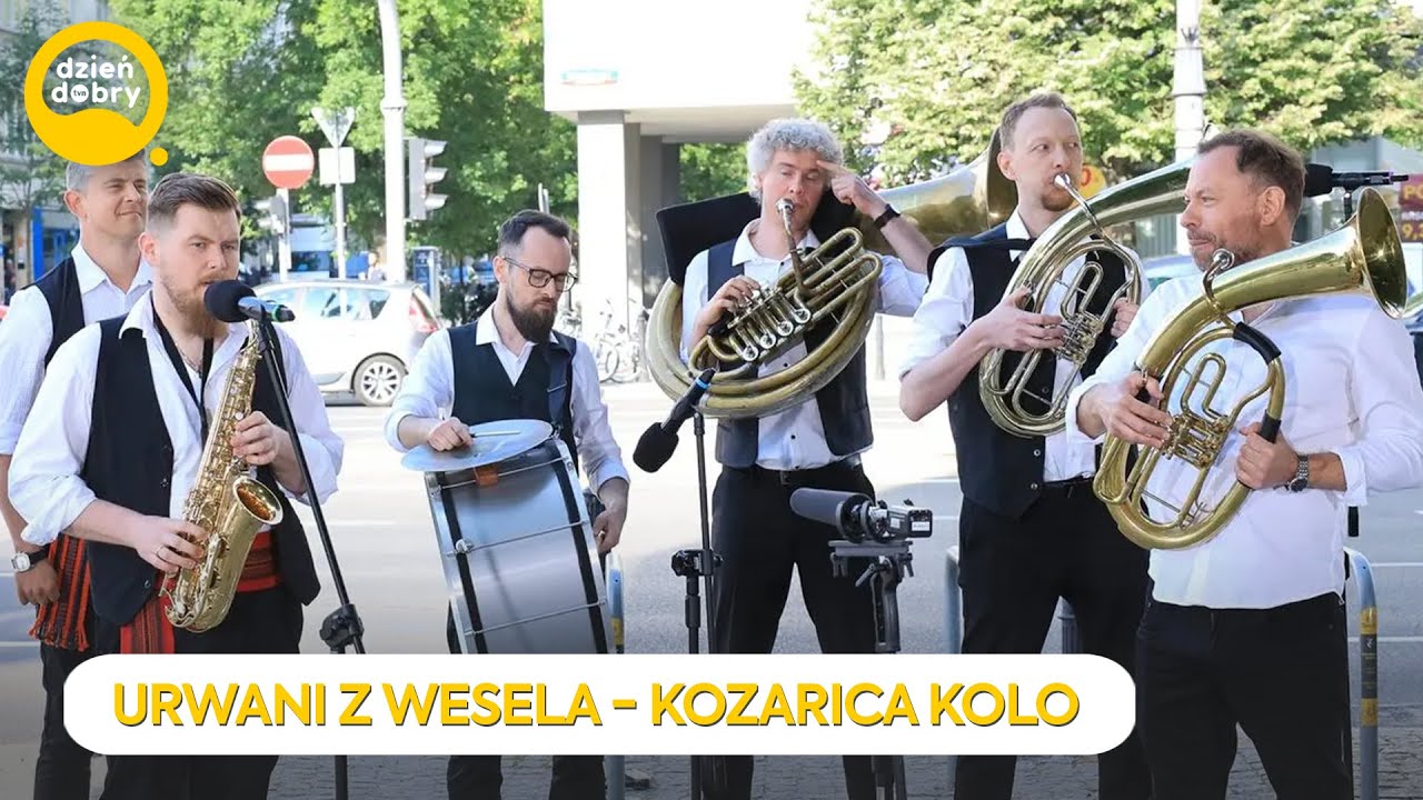 URWANI Z WESELA - KOZARICA KOLO | Dzień Dobry TVN