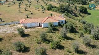 Quinta Em Casevel Santarém