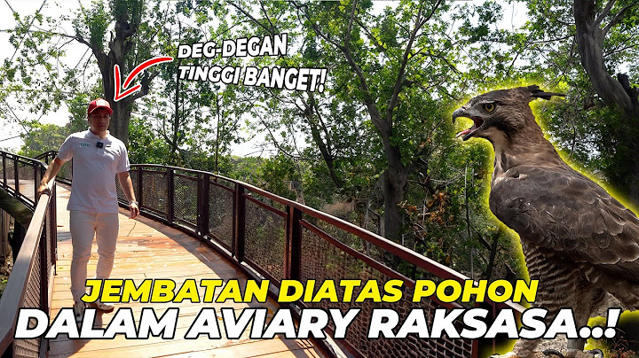 GILAA KEREN BANGET..! BISA LIAT BURUNG LEBIH DEKAT DARI ATAS AVIARY RAKSASA INI..!