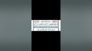 Surah Al - Kafiroon #quran #تلاوة_خاشعة #قران #سورةالكافرون #سورة #مشاري_العفاسي #surahalkafiroon