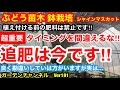 【ぶどう苗木　鉢栽培】肥料のタイミングが超重要‼︎これを見れば鉢栽培も夢じゃない‼︎Ver181【カーメン君】【ぶどう】【葡萄】【ブドウ】【肥料】【追肥】