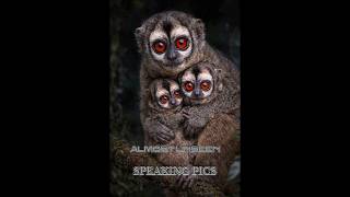 Almost Unseen-SPEAKING PICS #ytshorts #trending #shorts #picture #unique #unseenpictures