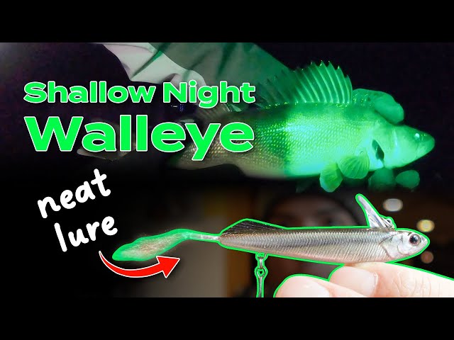 Hover stroll hard baits for shallow night walleye #walleyefishing  #nightfishing 