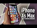 Опыт использования iPhone XS Max. Сравнение камер с iPhone X