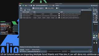 Enhancing Data Workflow: Importing Multiple Excel Sheets and Files into R - Part 2