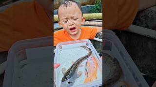 Tebak nama ikan #trendingshorts #funny
