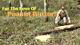 Trail Camera Captures What Happened To a BIG Container Of PEANUT BUTTER In The Woods!!