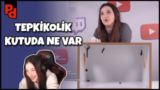 Pqueen - Tepkikolik Kutuda Ne Var Kendi Anlarını Izliyor