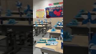Classroom Desks & Chairs | Perfect School Furniture for Primary Campus