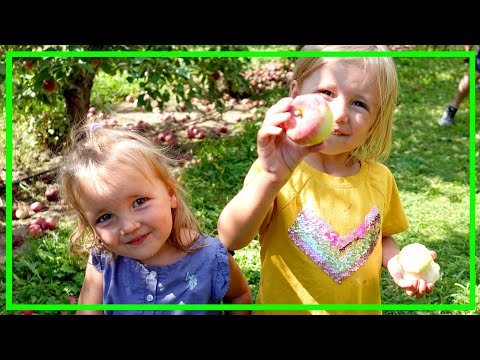 Cutest Apple Pickers at the Apple Orchard!! | Blake's in South Lyon, Michigan | Family Travel Vlog