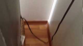 Apartment roach treatment