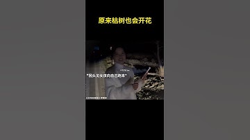 Thumbnail of 原来枯树也会开花#歌曲只为你着迷 #只为你着迷 #只为你着迷翻唱