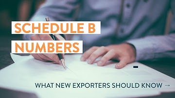 What is a Schedule B Number?