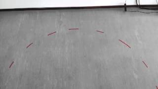 Celebrity Bowling Ball Circular Motion Profile