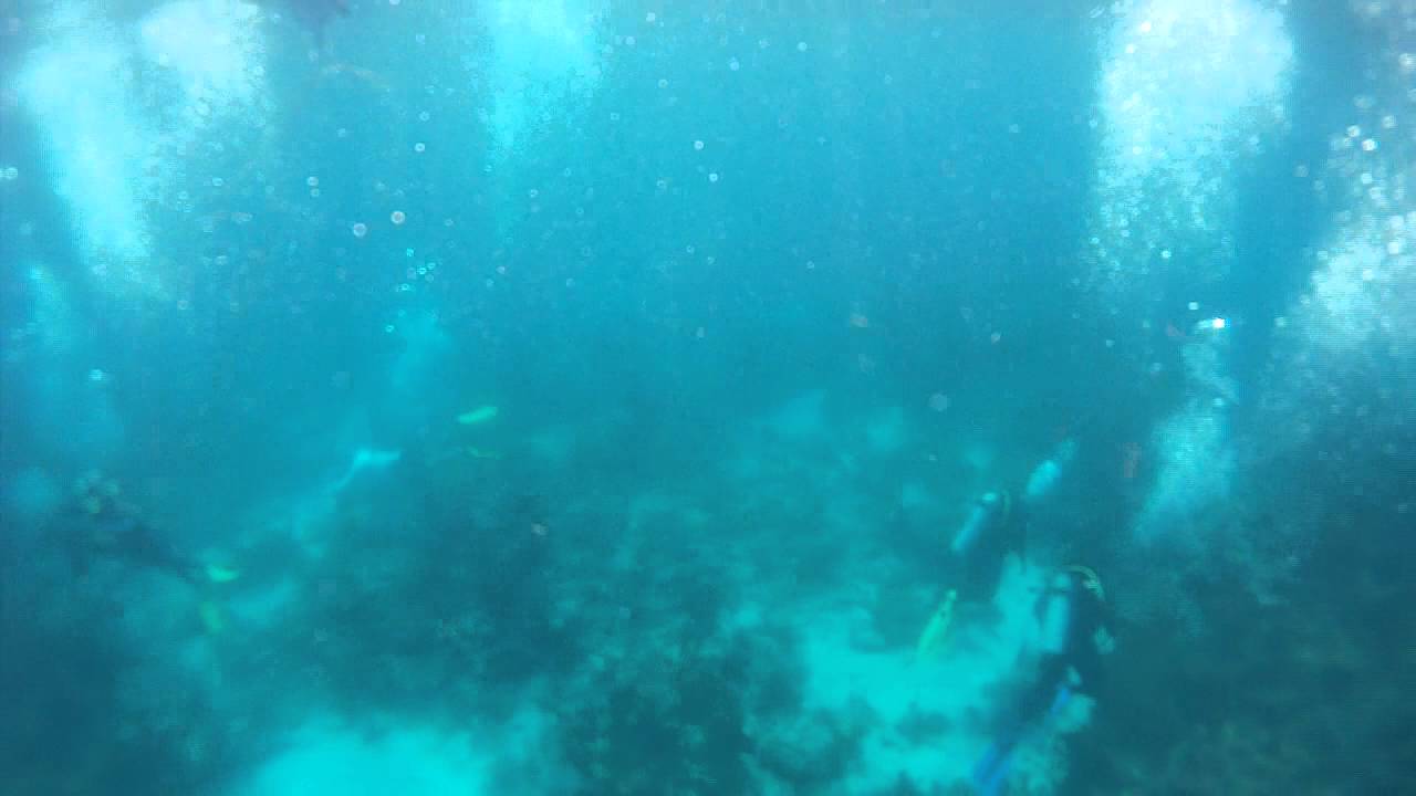 snorkeling in duck key YouTube