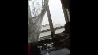 Rusvet Korrupsiya 5 N Xestexana