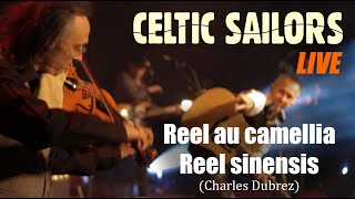 CELTIC SAILORS - Reel au Camellia / Reel Sinensis