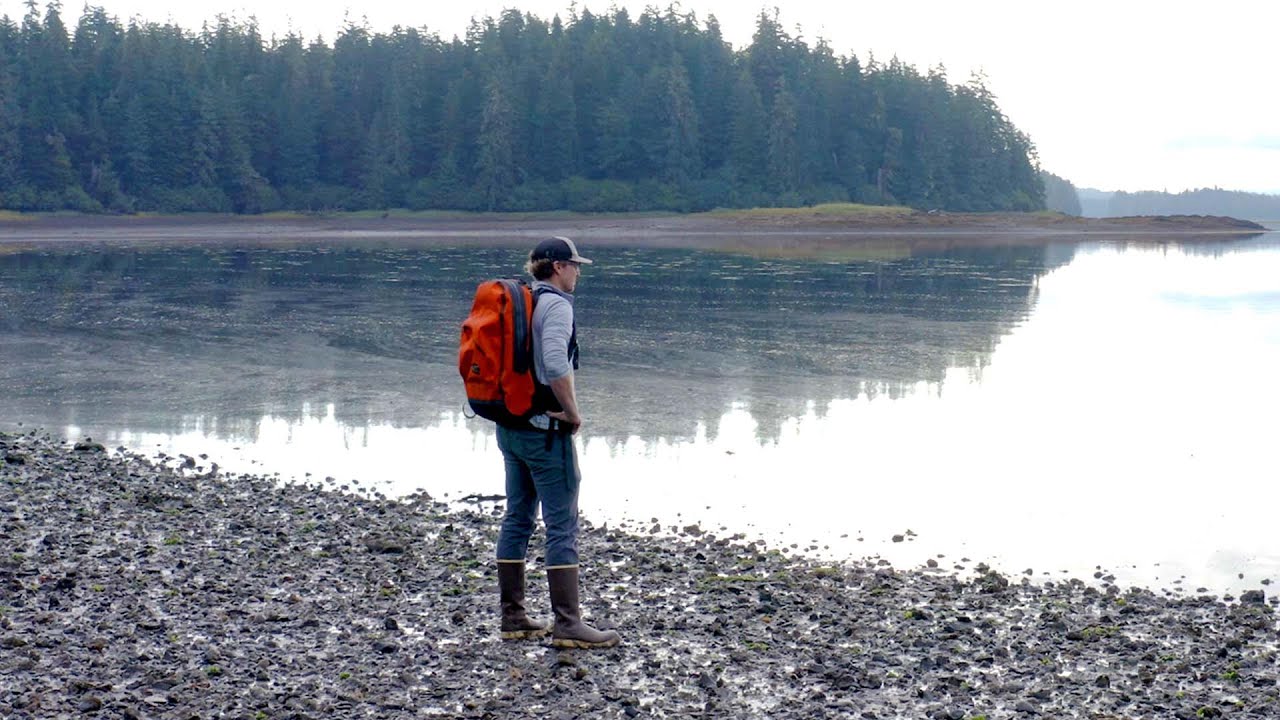 SAGEBRUSH DRY in Kake, Southeast Alaska YouTube