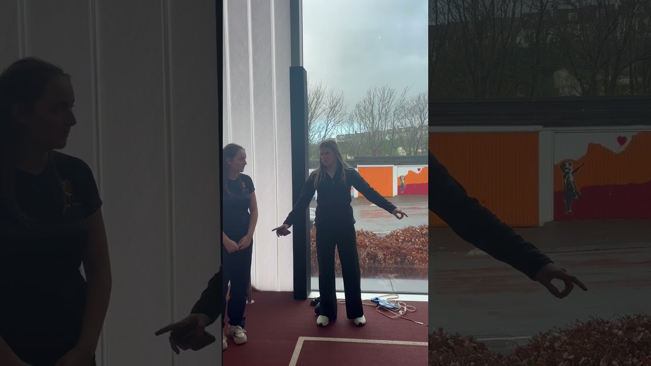 The 20 metre max sprint test