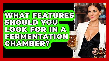 What Features Should You Look For in a Fermentation Chamber? - The Pint Guy