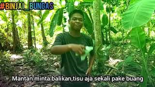 Download Lagu Mantan minta balikan MP3