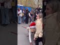 funny video / funny shorts #shorts #youtubeshorts #ytshorts