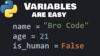 Python variables and data types you should know as a beginner ❎