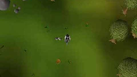 Registered Hypercam 2 Test Video