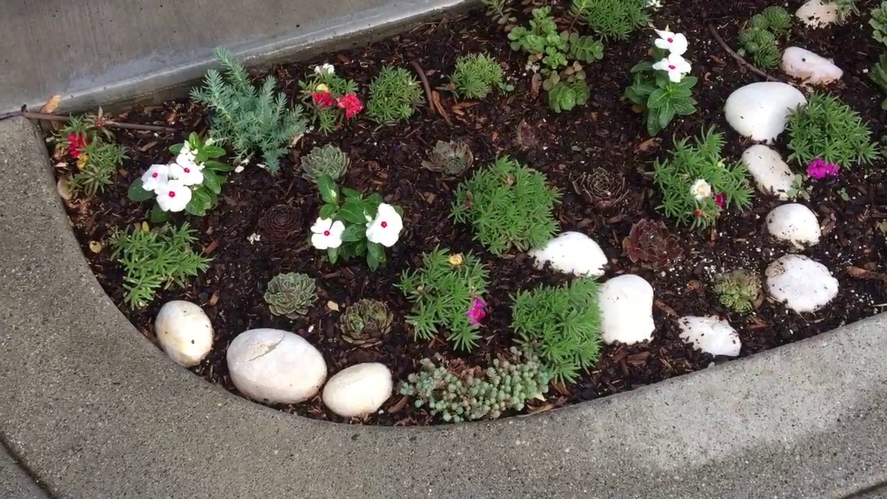 Outdoor Succulent Garden with Cold Hardy Succulents | Succulents and  Sunshine