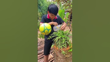 Tình nghĩa anh em có chắc bền lâu | Sinl #shorts