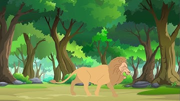 Lion walk cycle 2d animation...