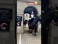 😳King’s Guard on Foot Fall Incident