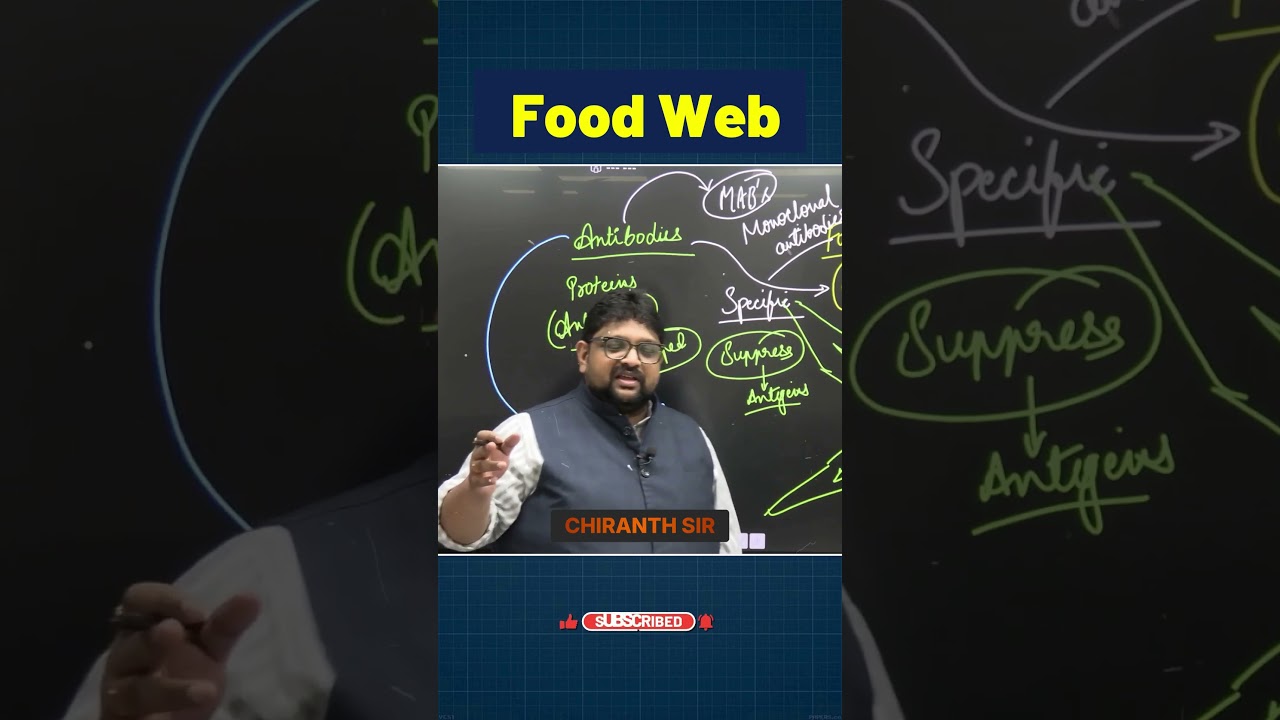 Моноклональные антитела: объяснение | Моноклональные антитела против антибиотиков | Актуальные во...